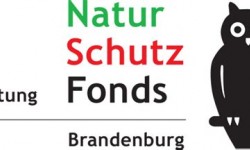 Stiftung Naturschutzfonds Brandenburg Logo
