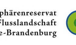 Biosphärenreservat Flusslandschaft Elbe-Brandenburg Logo